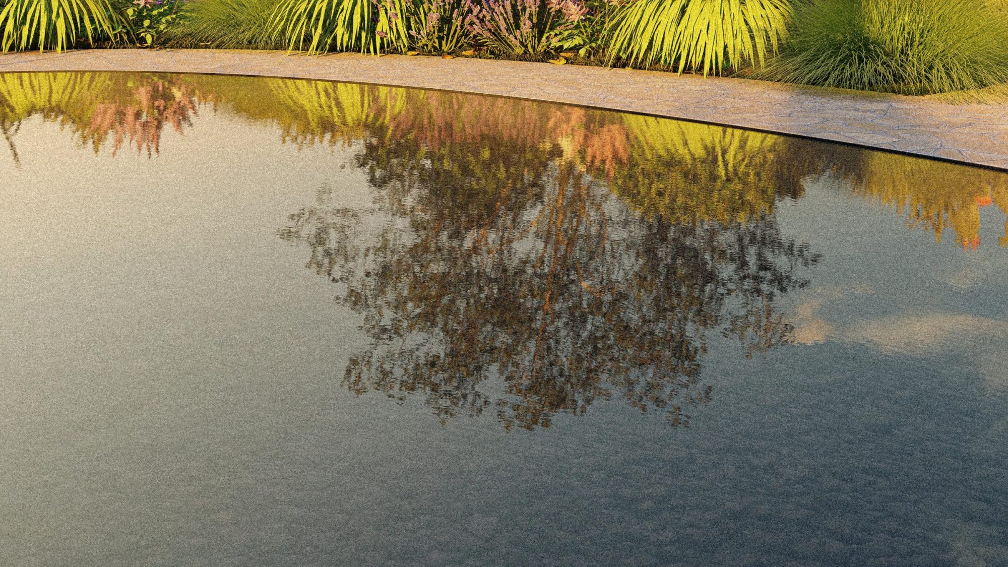 Close view of an elliptical reflective water feature mirroring a tree and surrounding ornamental grasses